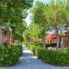 Viale alberato con case colorate ai lati.