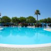 Piscina all'aperto con lettini e palme attorno.