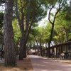 Villaggio Camping Costa D'argento (CH) Abruzzo