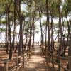 Camping Roma (TE) Abruzzo