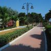 Passeggiata con fiori e palme lungo la spiaggia.